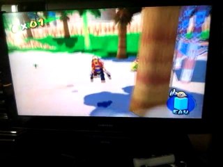 super Mario Sunshine bugs 1