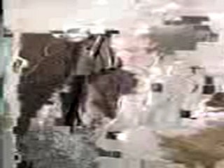 el bananero 3gp taxi