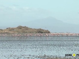LAC NATRON avec HORS PISTES