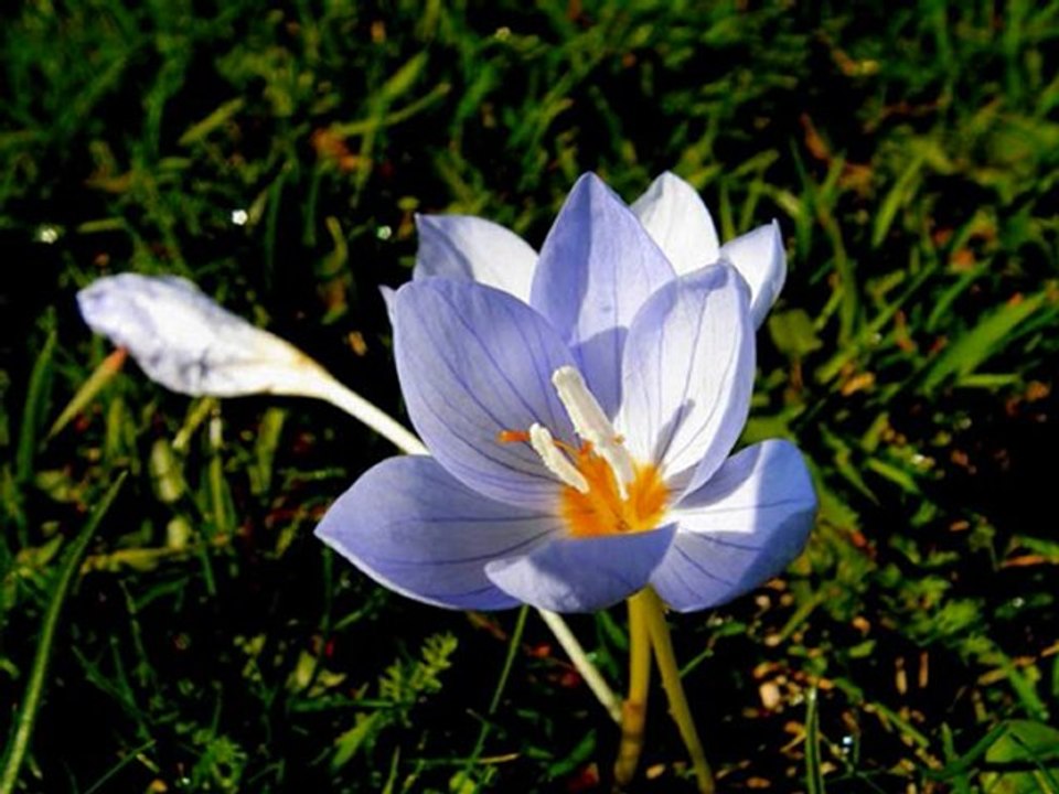 AĞLADIĞIMI KİMSEYE SÖYLEME ANNE VİDEO