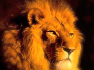 PRATIQUE AVEC SENSEI vers 2