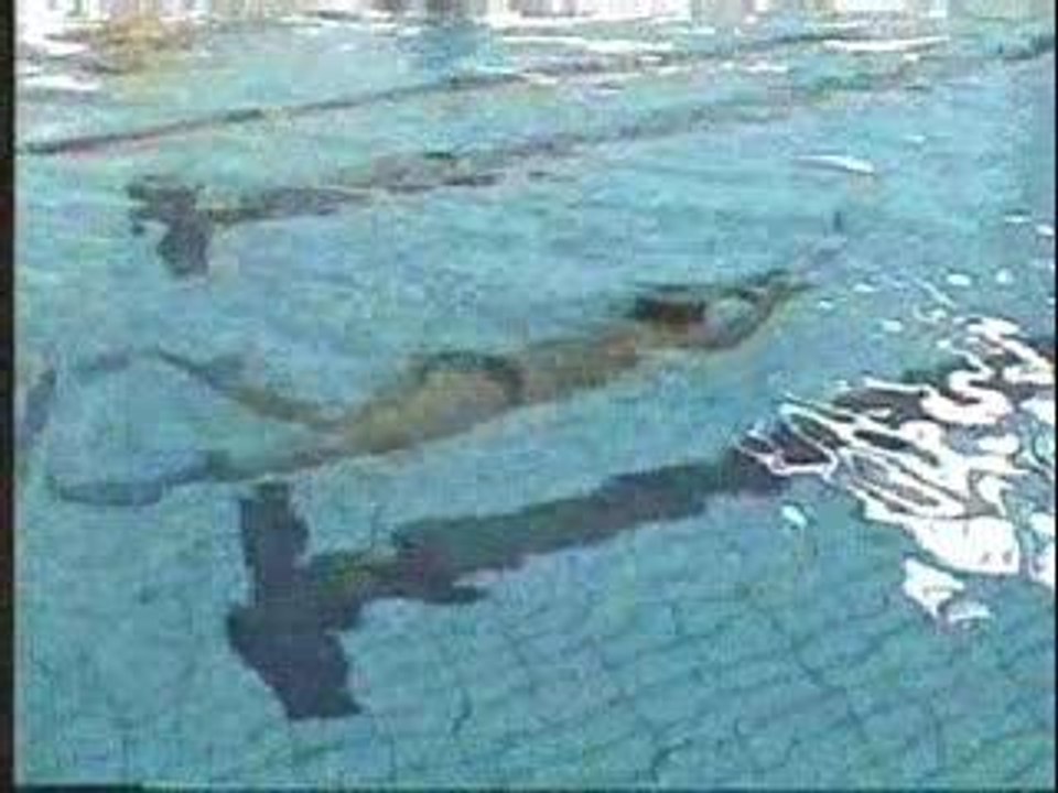 Fins swimming etudes stéréo