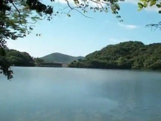 Puerto Rico El buen Borincano HD+3D