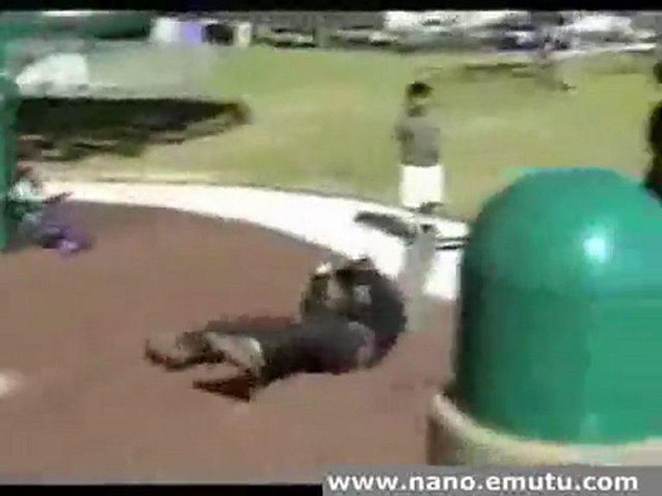 skateboard boomerang