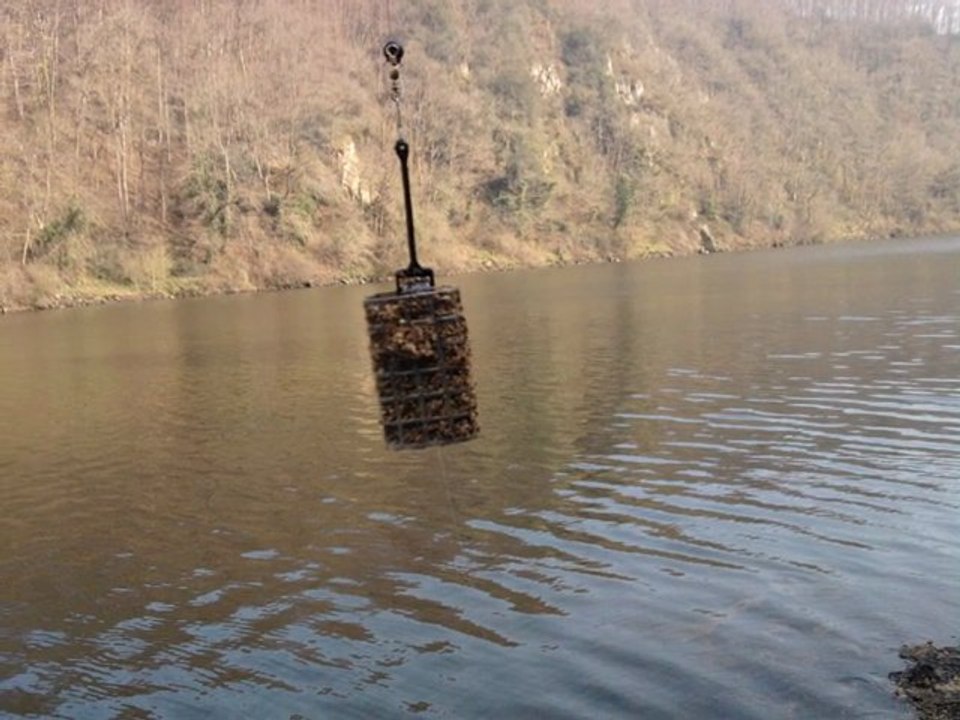 Mon film avec b freeze 2