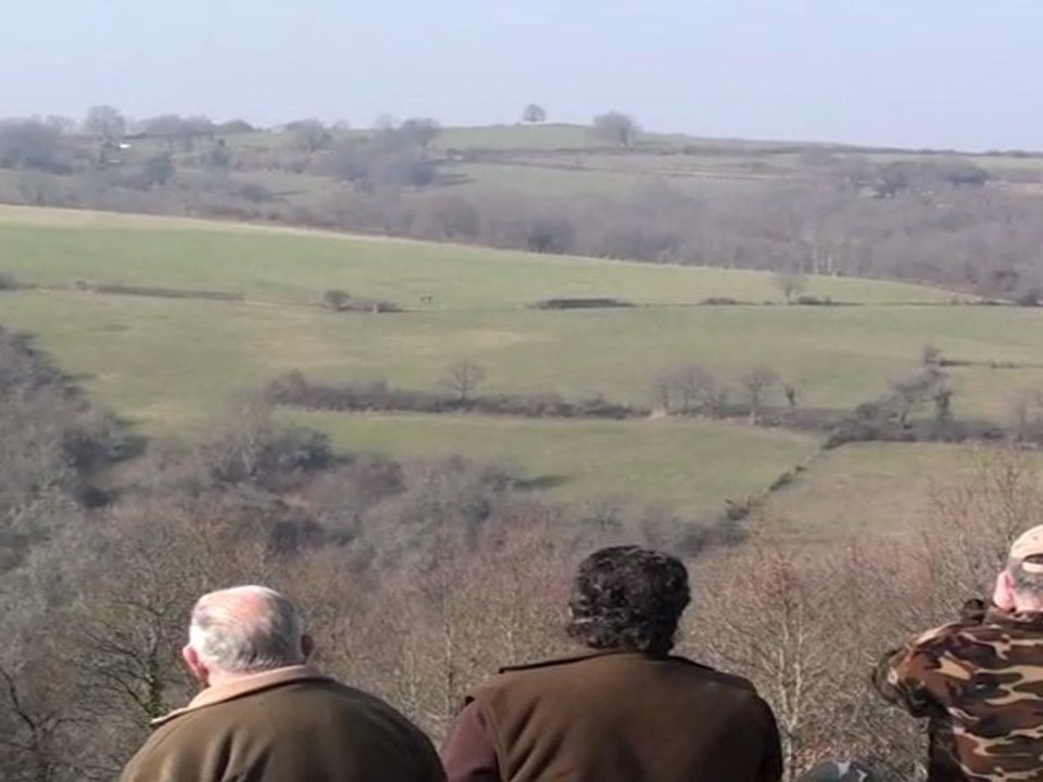 concours de meute sur sanglier à St Angel (63) - 1 -
