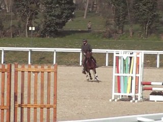 Entraînement Tipi 4ans Le Lion d'Angers 2011-03-07