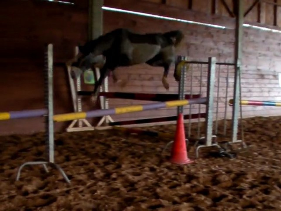 oxer tip top des barrous