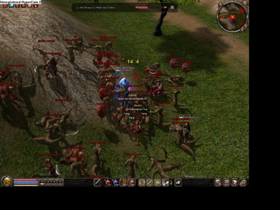 Metin2 Zorro metin 45 en 21 secondes