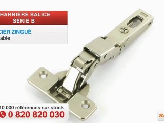Charnière Série B Salice, par QAMA