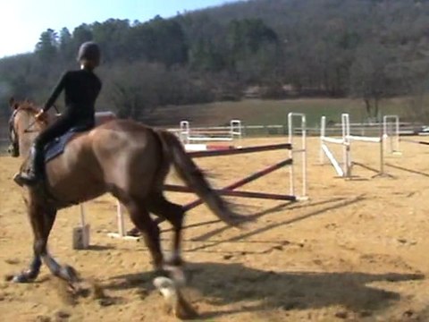 reine de la crecque cahors le 6 mars 2011 (2)