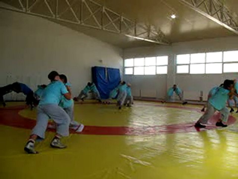 Eşli Çalışmalar