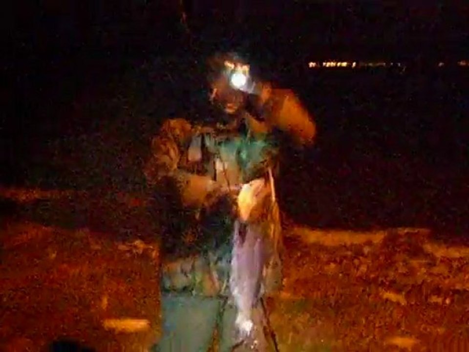 Gece Levrek Avı