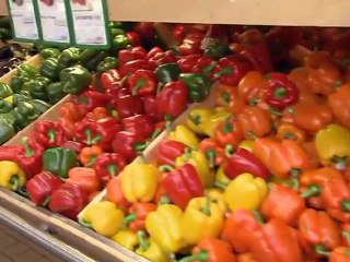 Notre poison quotidien