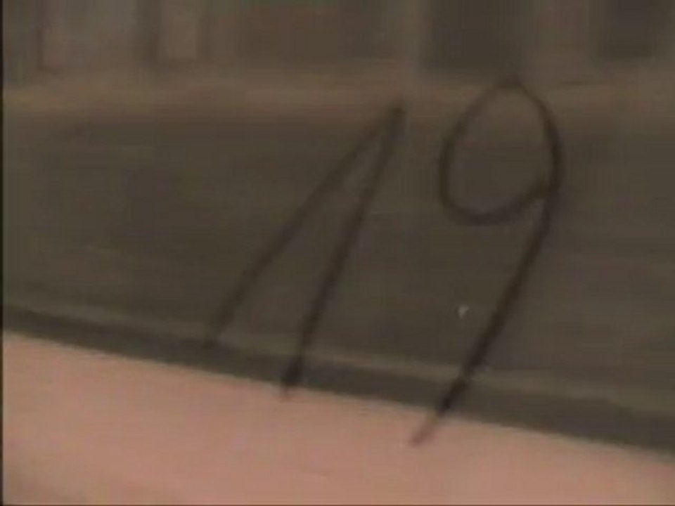 19 (2007)
