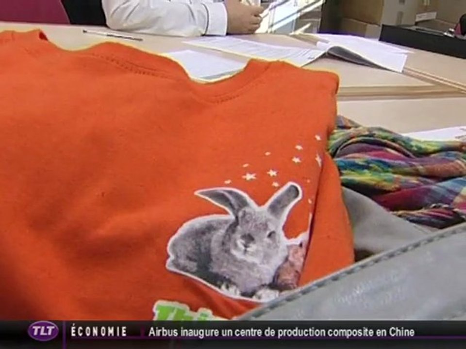 Vigicarotte : le lapin veille sur les discothèques