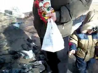 Санька и голуби...