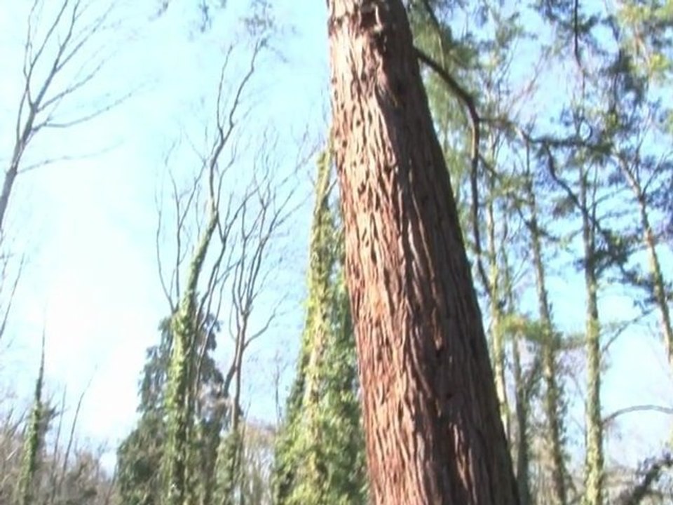 Parc de Noisiel - Parc de Marne la Vallée