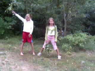 Lövflammorna och en katt