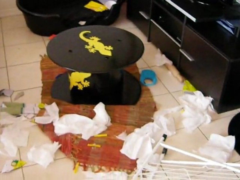 Les bêtises de PetitChien qui s'ennuie