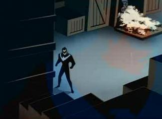 Batman catwoman robin batgirl