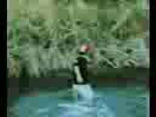 el tonto mas tonto jajaja