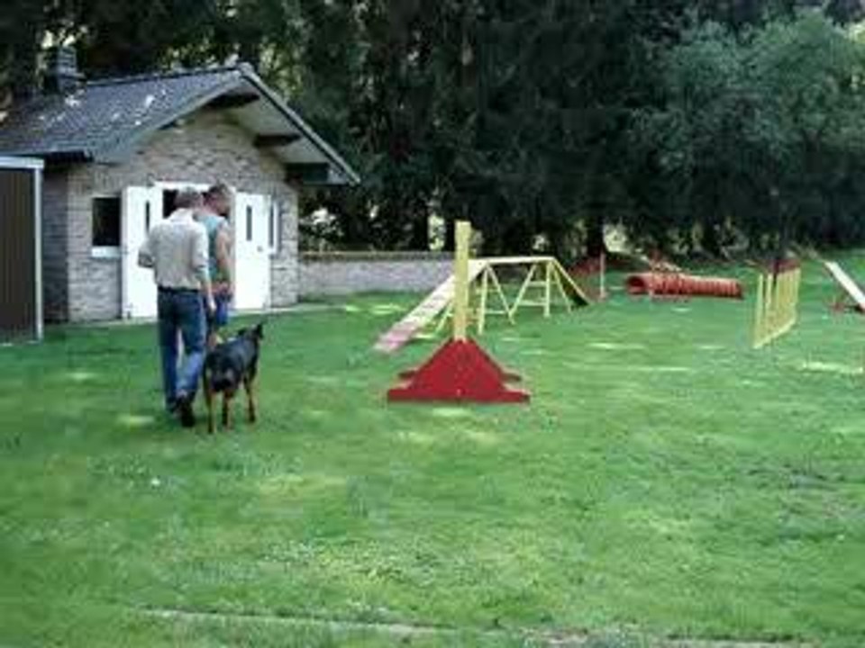 Luna agility