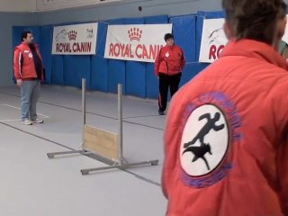 Caudry : épreuves du sélectif d'obéissance canine