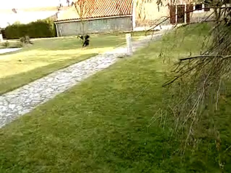jeu
