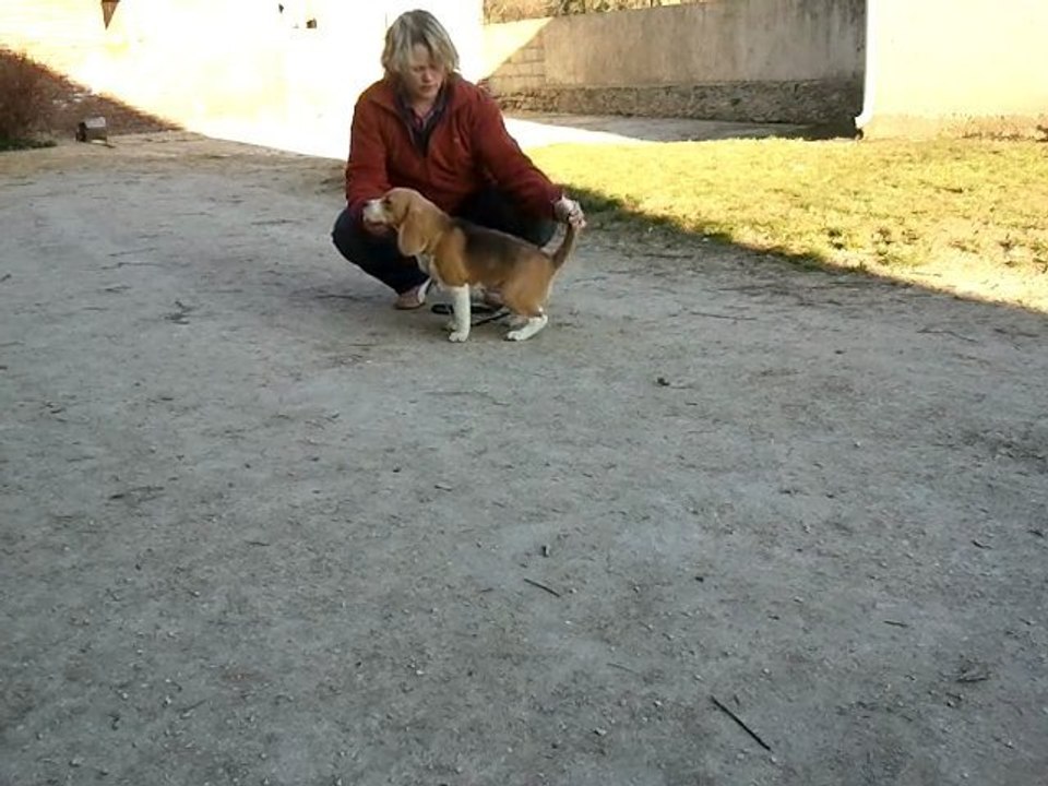 Allures Maddy 07.03.11