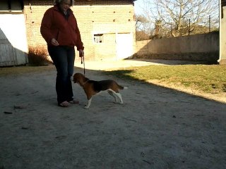 Allures Figo 07.03.11