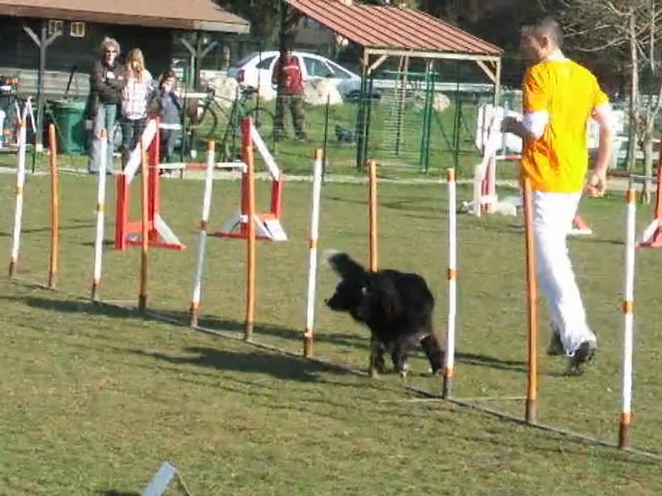 Dice, Détection 2011,  Agility 1