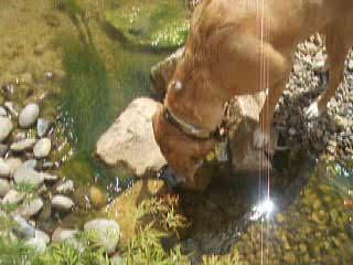 je cherche, je cherche