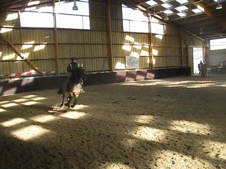 ludo