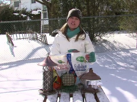 Nourrir les oiseaux sauvages durant l’hiver