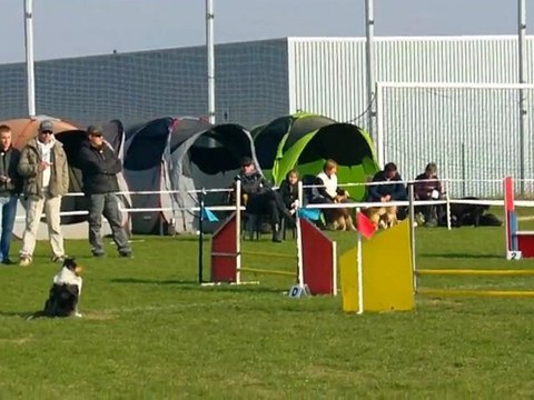 20110306 excel little blue saintes