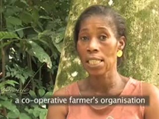 Divine Chocolate Celebrates International Women’s Day