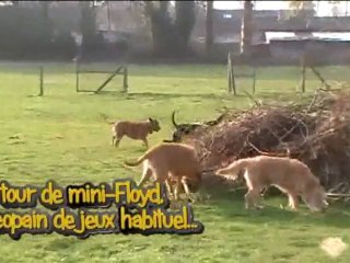 Gretel fait sa fofolle