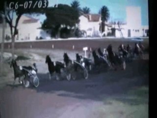 ORIGAN DU VIVIER 2e à Hyères