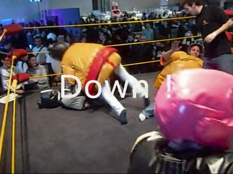 Ankama Convention #6 - Big Bank's Battle