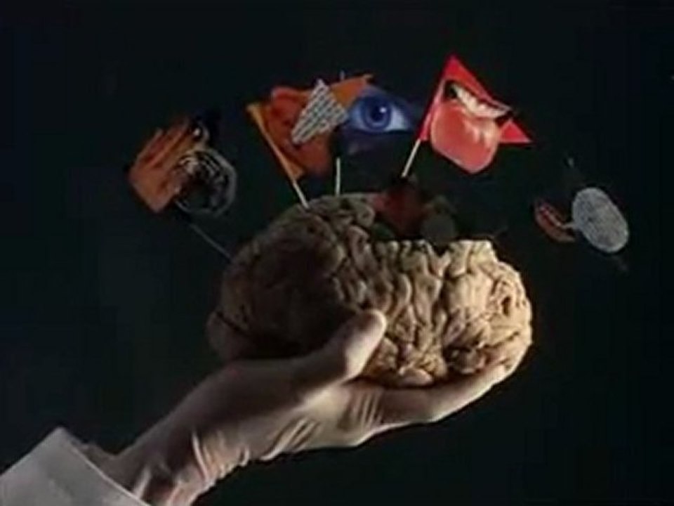 L'Île aux fleurs (Ilha das Flores)  court métrage