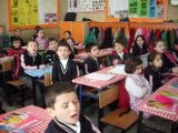 Mehmet Başar - 3B Sinifi - Baga Girdim Bag Budanmis Türküsü