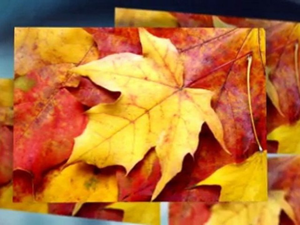 Sacramento Dentistry, Sacramento Dentist, Sacramento Dental