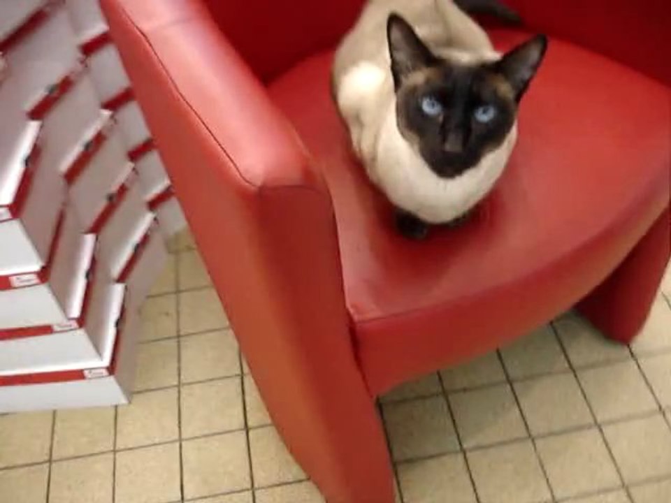 TIHI DANS LE FAUTEUIL
