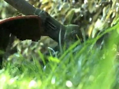 JB Paysages - jardinier paysagiste Bouches du Rhône