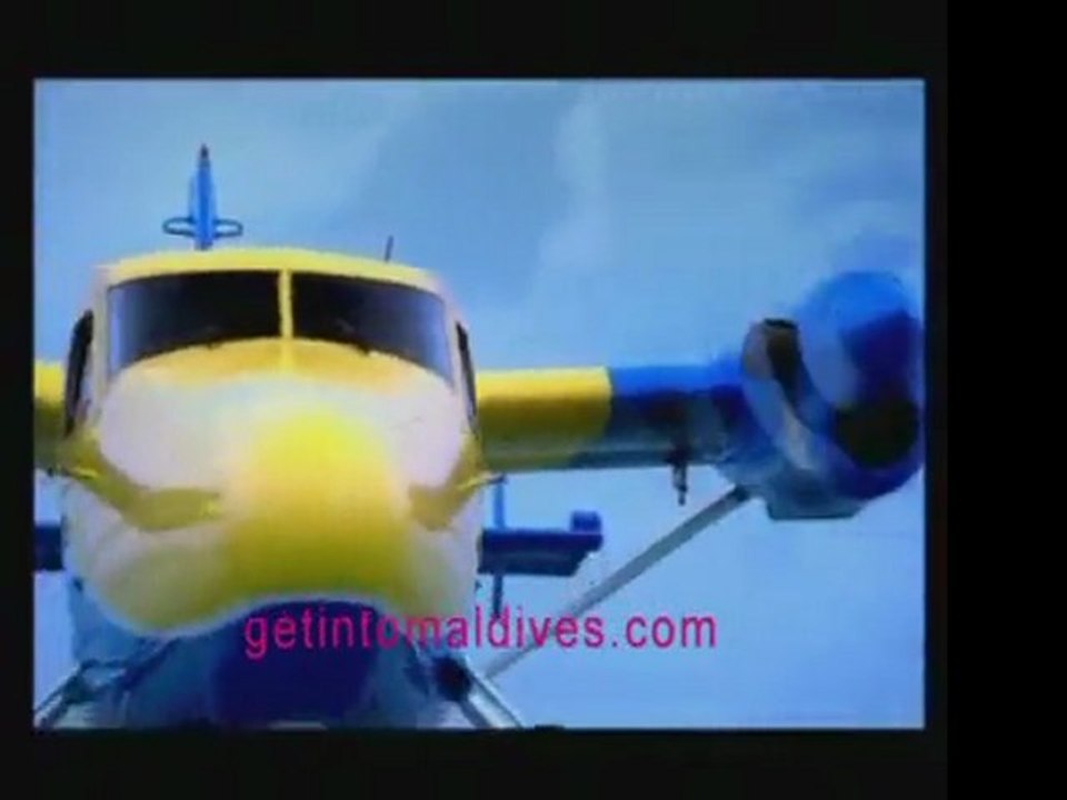 Maldives Maldive Maledivian