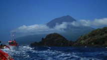 Regatas de Botes  Baleeiros na ilha do Pico Açores