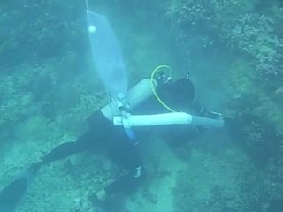 Aspiration des cyanobactéries à l'aide d'une suceuse