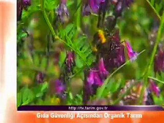 gida guvenligi acisindan organiktarim