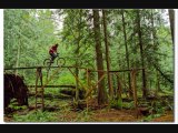 freeride dh vtt